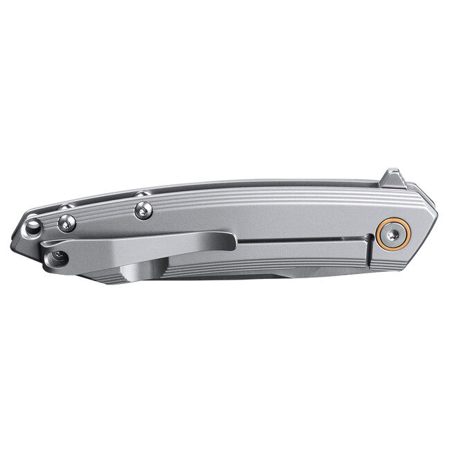 Ruike P831S coltello, argento