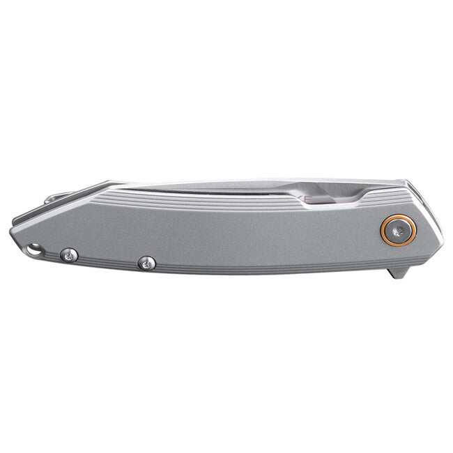 Ruike P831S coltello, argento