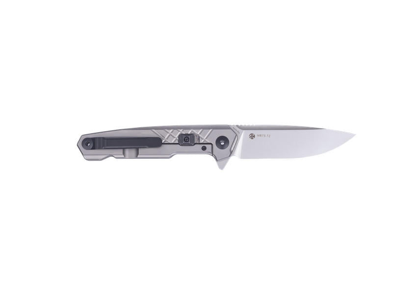 Ruike M875-TZ coltello tascabile di chiusura