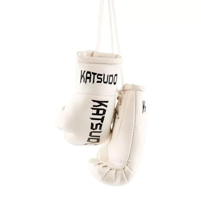 Mini Guanti da Boxe