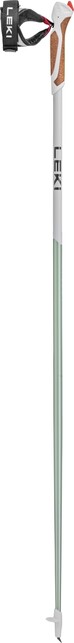 Leki Passion bastoncini da nordic walking, verde fumo-bianco-antracite scuro