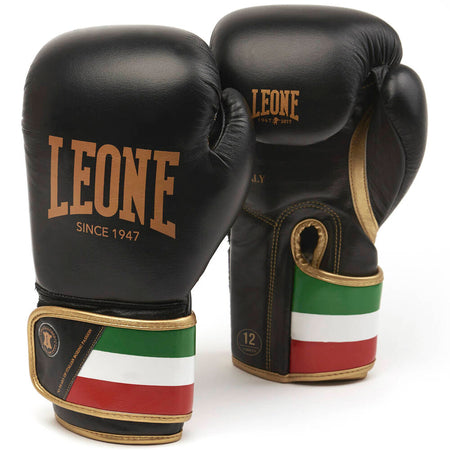 Leone Italy'47 guantoni da boxe , neri