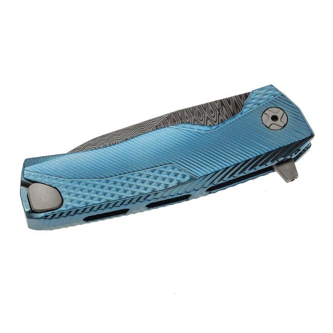 Lionsteel ROK DD BL coltello di lusso con manico in titanio massiccio