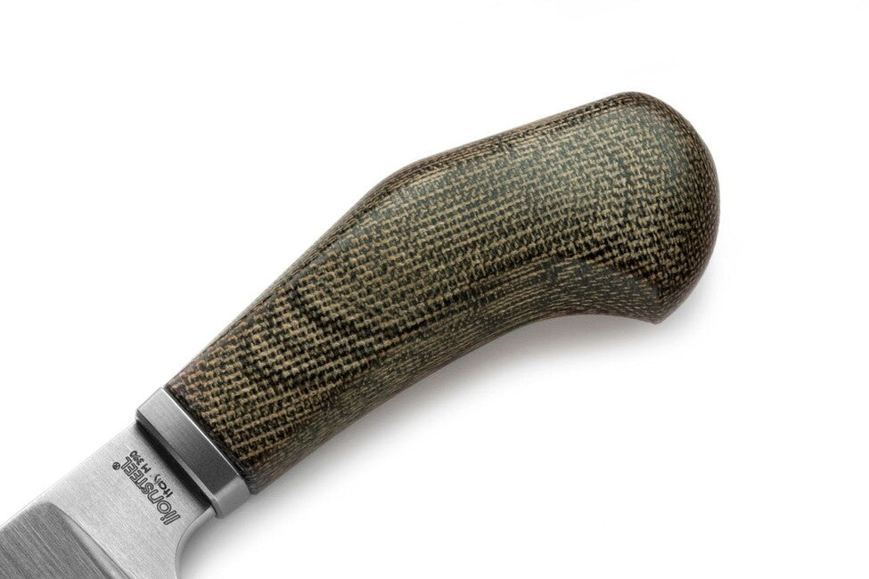 Lionsteel Willy WL1 CVG coltello a lama fissa con manico in micarta, verde