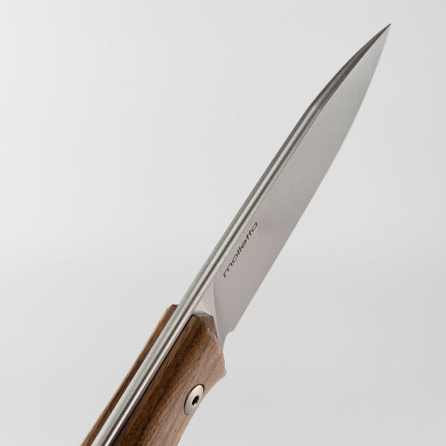 Lionsteel Coltello tipo bushcraft a lama fissa in acciaio Sleipner B35 ST