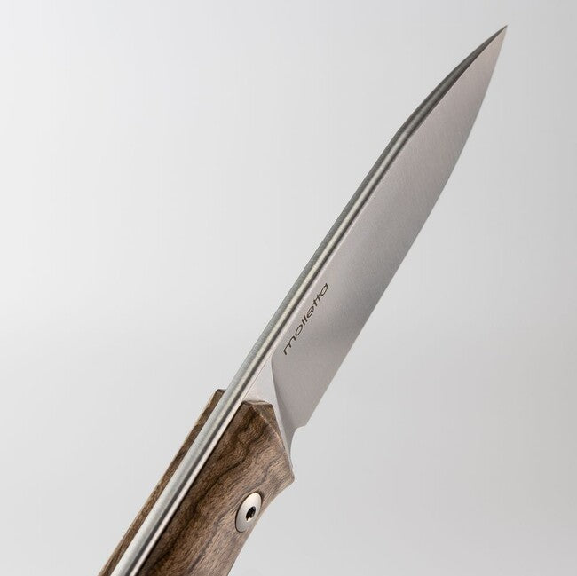 Lionsteel Coltello tipo bushcraft a lama fissa in acciaio Sleipner B35 WN