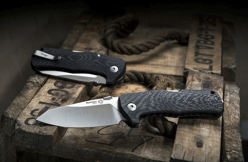 Lionsteel Coltello da tasca molto robusto con lama in acciaio Slepner TM1 CS