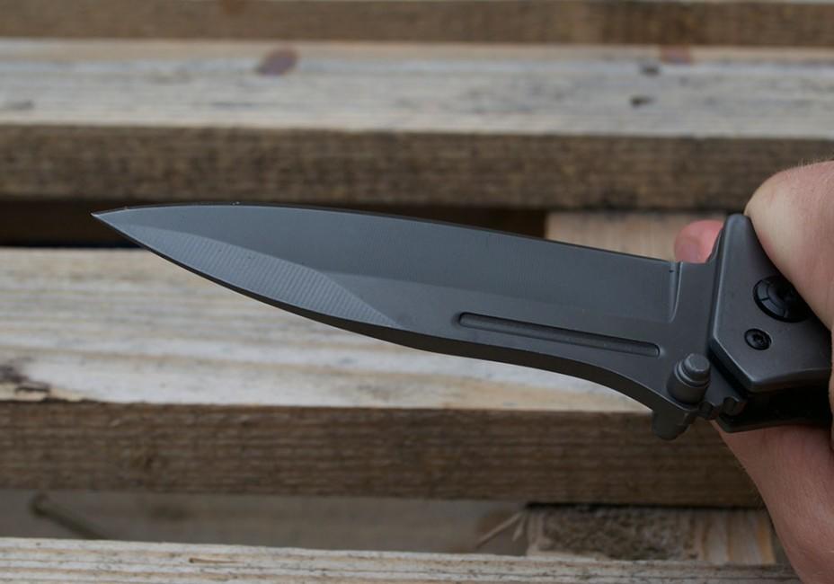 Mil-Tec DA35 coltello pieghevole 22cm, nero