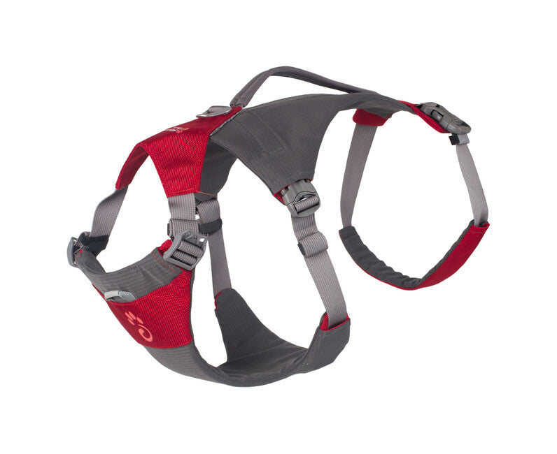 Mountain Paws Hiking pettorina per cani S