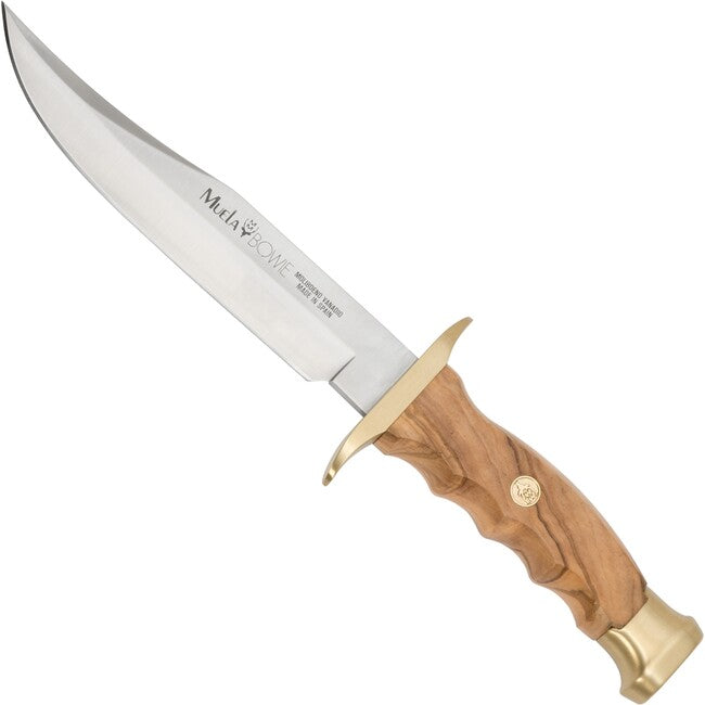 Muela Bowie Olive coltello a lama fissa