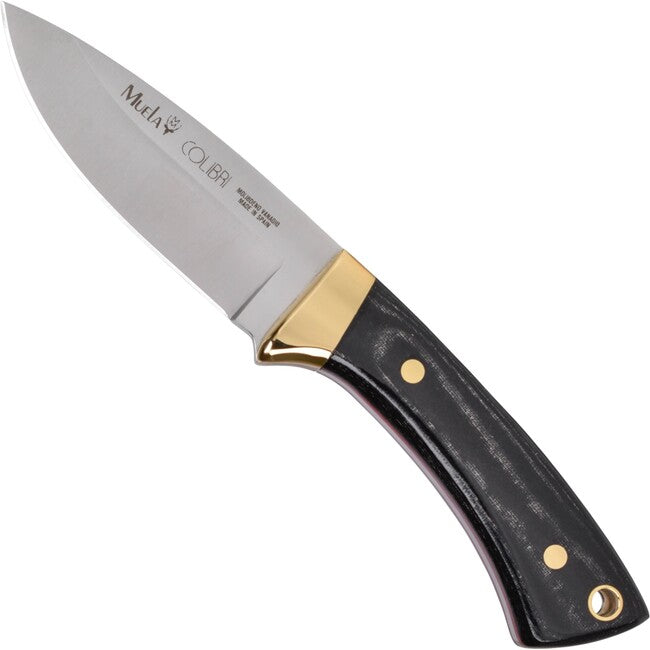 Muela Colibri Micarta coltello a lama fissa