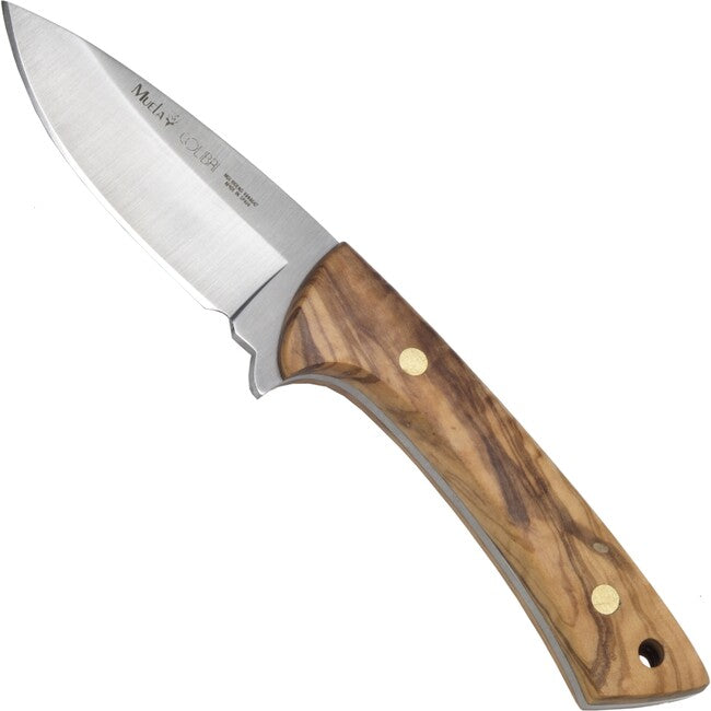 Muela Colibrí coltello a lama fissa legno d'ulivo