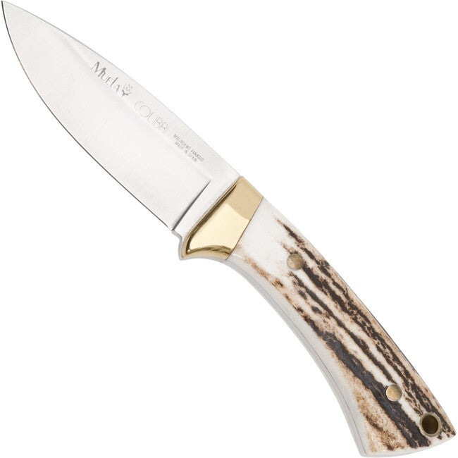 Muela Colibri coltello a lama fissa
