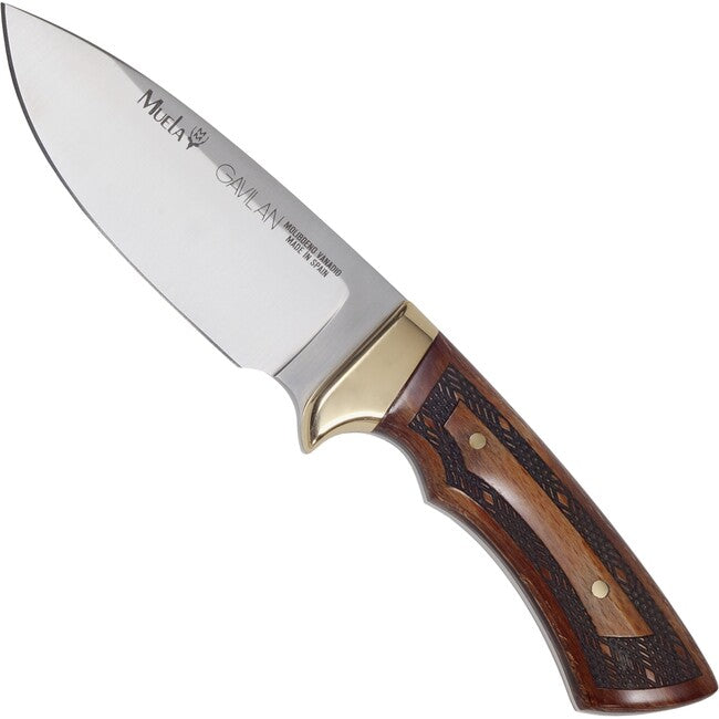 Muela Gavilan 61649 coltello a lama fissa