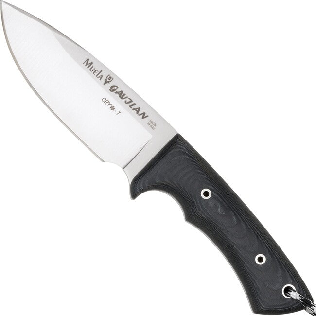 Muela Gavilan 61636 coltello a lama fissa