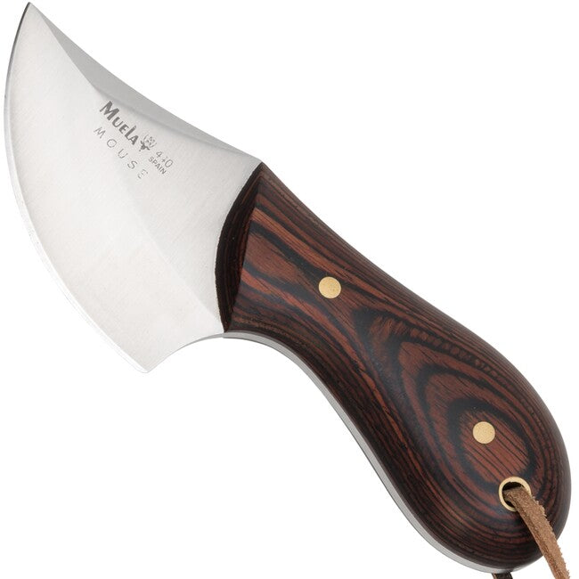 Muela Mouse coltello a lama fissa