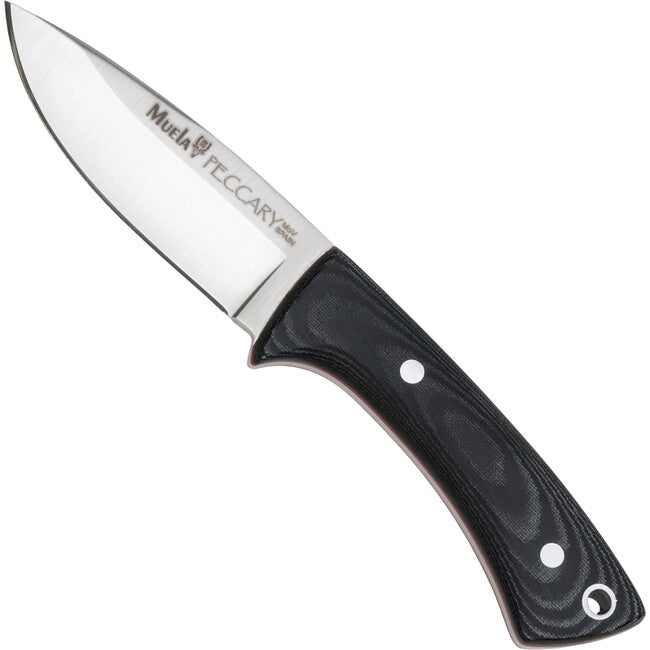 Muela Peccary coltello a lama fissa