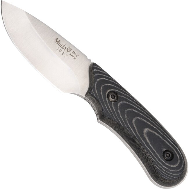 Muela coltello a lama fissa , schwlederscheide
