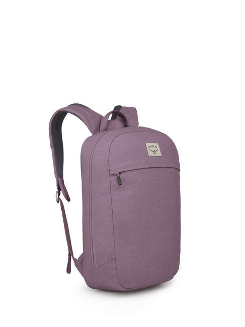 Osprey Arcane Large Day zaino da città, purple dusk heather