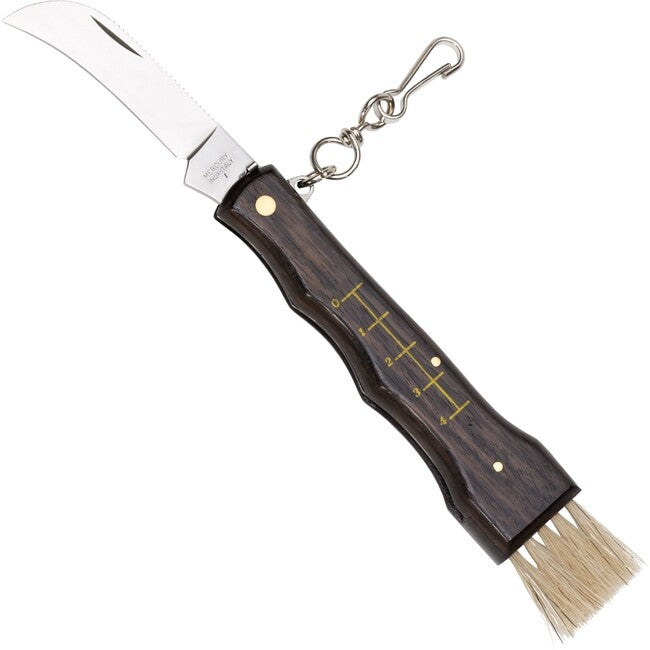 Coltello per funghi con misura e pennello