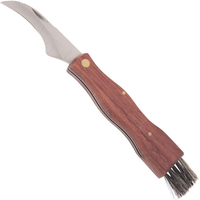 Haller Pilz mit Holzgriff coltello tascabile