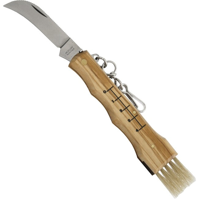 Coltello da funghi in legno d'ulivo