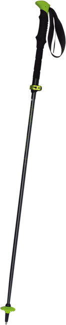 Pinguin Compact FL bastoni da trekking, grigio