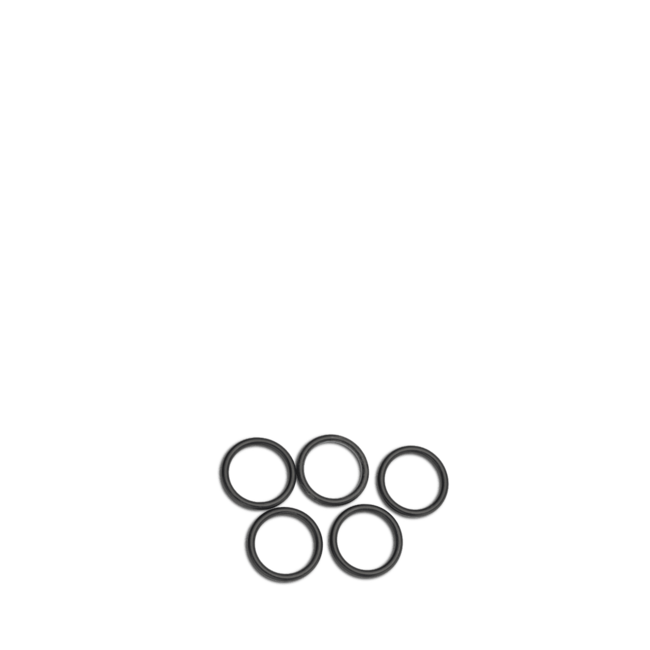 Primus O-Ring per pompa