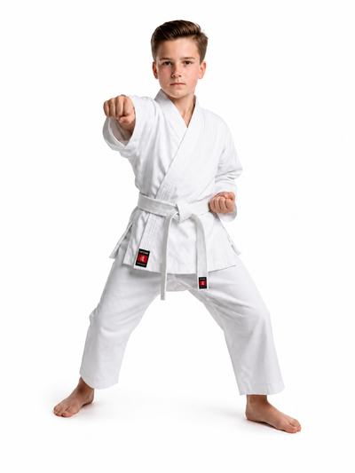  aikido