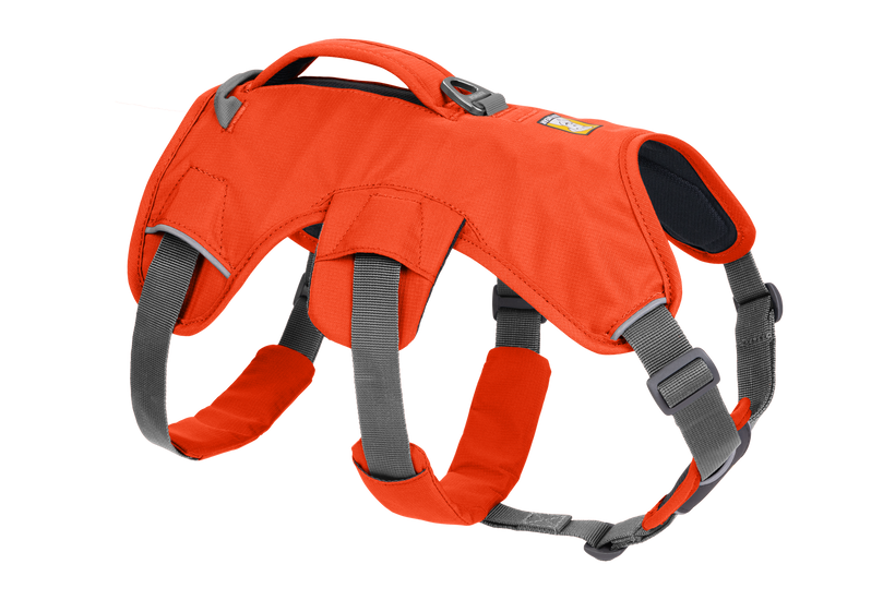 Ruffwear Web Master harness, blaze orange