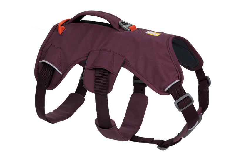 Ruffwear Web Master harness, purple rain