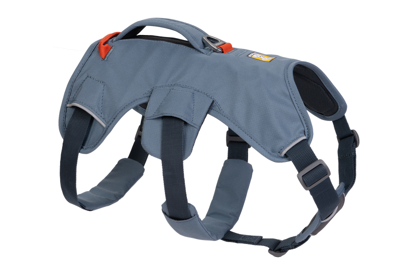 Ruffwear Web Master harness, state blue