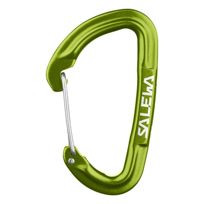 Salewa Hot G3 moschettone, verde