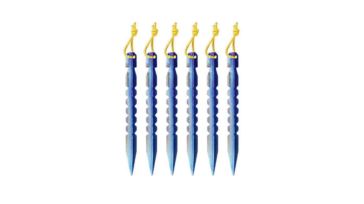 Silverant spine per tende in titanio con profilo a Y