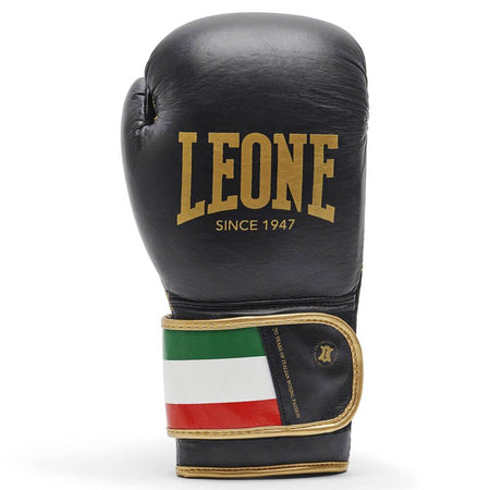 Leone Italy'47 guantoni da boxe , neri