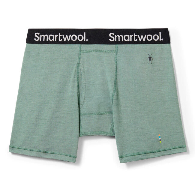 Smartwool Merino Boxer da uomo m boxer brief boxed, salvia