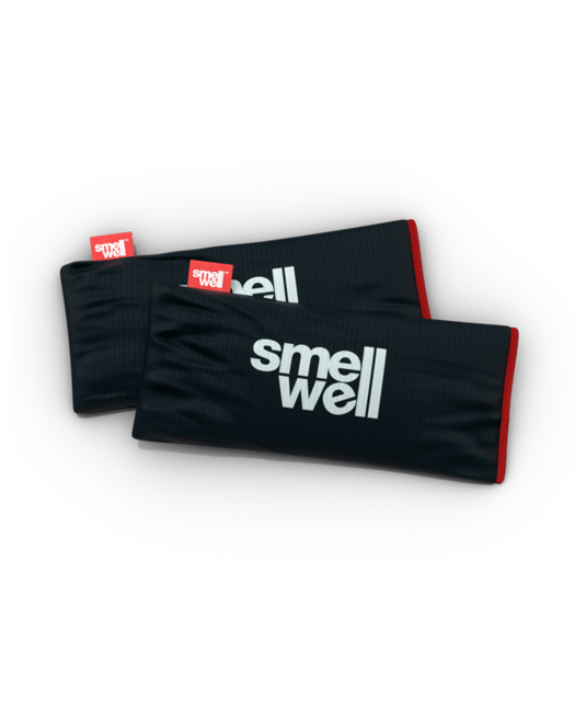 SmellWell Active XL deodorante multiuso, pietra nera