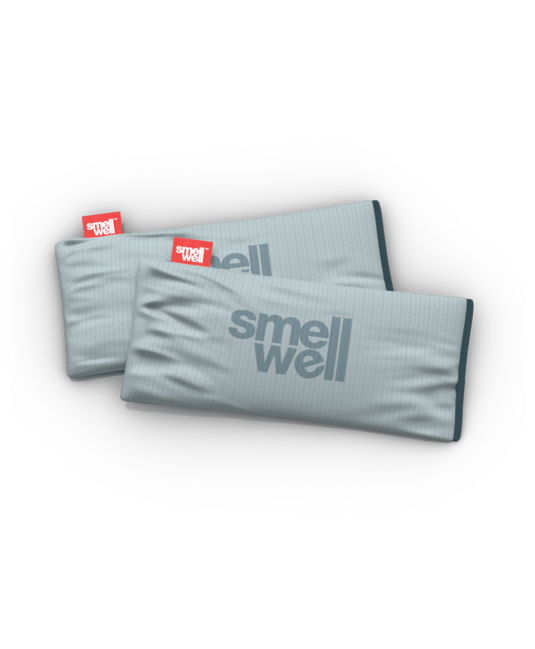 SmellWell Active XL deodorante multiuso, grigio argento