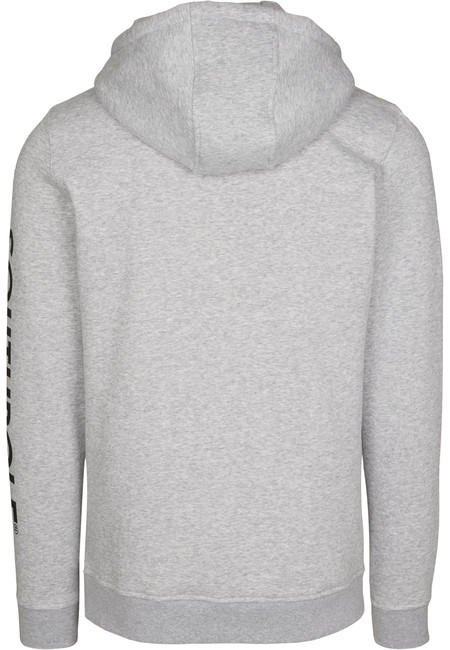 NASA Southpole Insignia Logo felpa con cappuccio da uomo, grigia