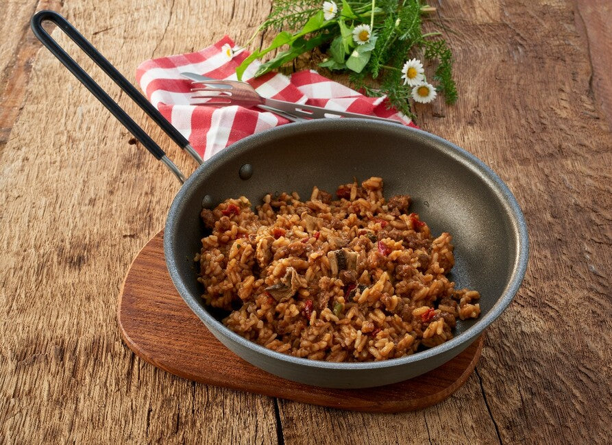 Katadyn Carne saporita con riso e spezie GOURMET