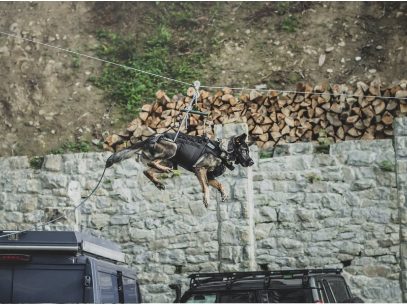 K9 Thorn Imbracatura tattica, nera